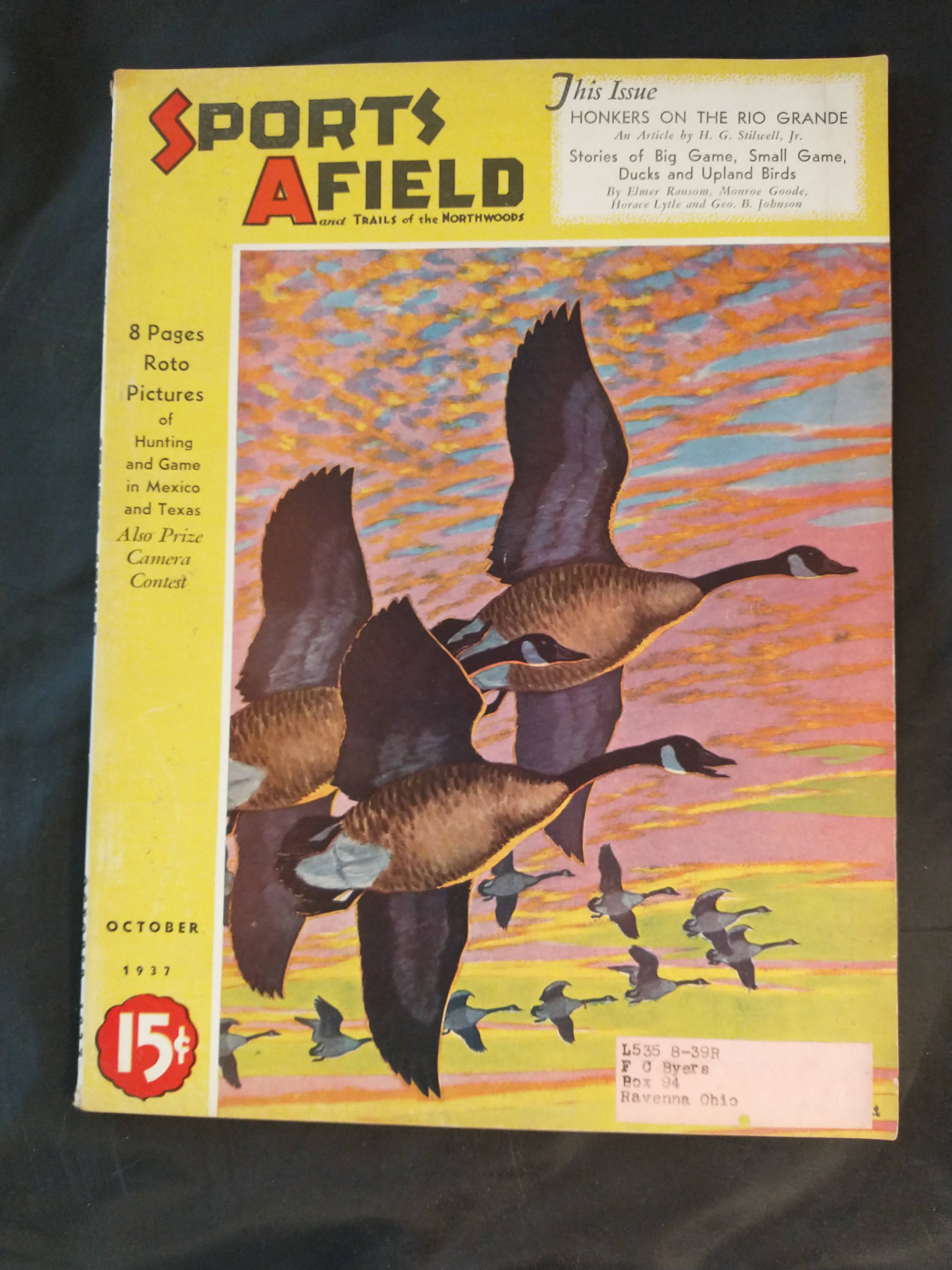 Image for SPORTS AFIELD   OCT. 1937